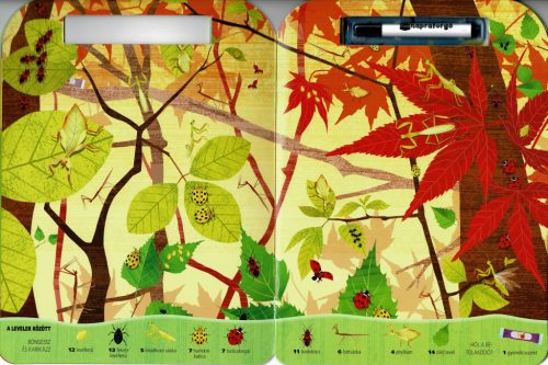 Böngéssz és karikázz! - Bogarak