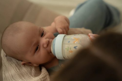 Little Dutch cumisüveg 165 ml - forest friends