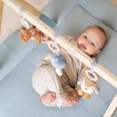 Little Dutch babatornáztató - Forest Friends