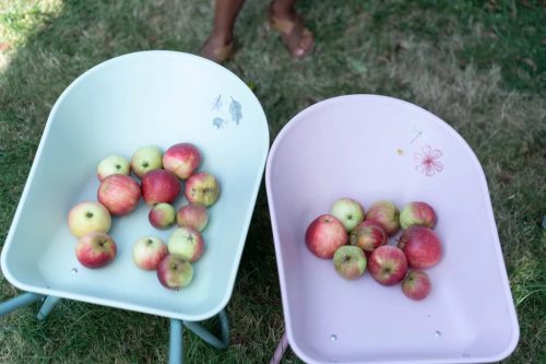 Little Dutch talicska - Forest Friends