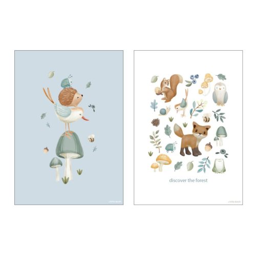 Little Dutch kétoldalas poszter - Forest Wonders