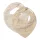 Little Dutch Nyálkendő 2 db - Pure Soft Beige