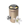 Vivamax "ZenSation" autós aromadiffúzor (arany)